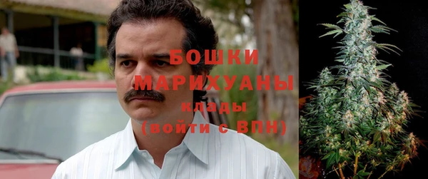 PSILOCYBIN Горнозаводск
