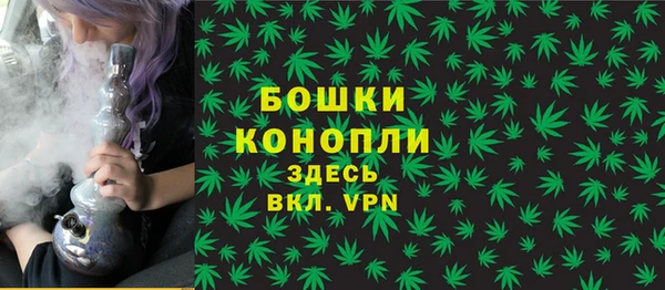 амф Вяземский