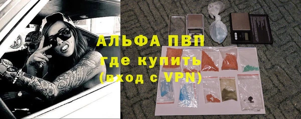 PSILOCYBIN Горнозаводск