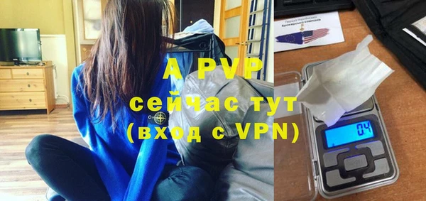 PSILOCYBIN Горнозаводск