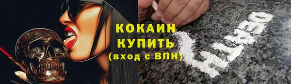 PSILOCYBIN Горнозаводск