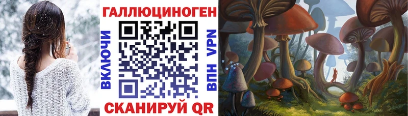 Галлюциногенные грибы MAGIC MUSHROOMS  Коммунар 